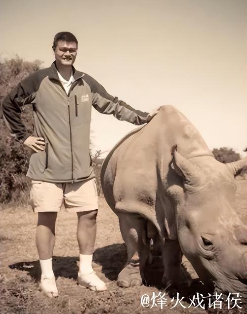 这不是P图 NBA球星体型就这么非人类,姚明在泳池身材超灭霸 这不是P图 NBA球星体型就这么非人类,姚明在泳池身材超灭霸